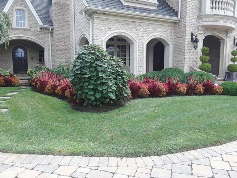 Stark's Lawn & Landscape, LLC Frankfort, KY Lawn & Landscape
